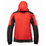 SOFTSHELL RUBIN SEVEN_KINGS