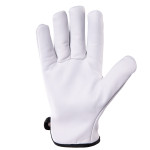 CABRA G-DRIVE SKÓRA KOZIA WINTER CABRA