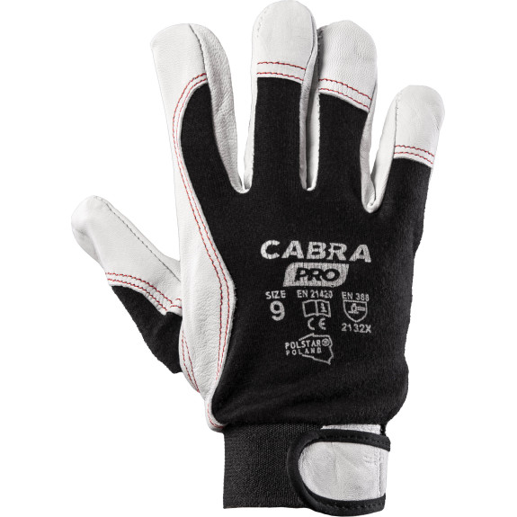 CABRA PRO CABRA