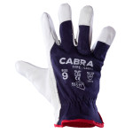 CABRA CABRA
